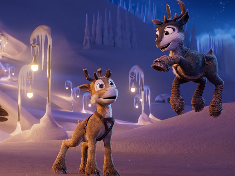 Niko 3  - Reise zu den Polarlichtern